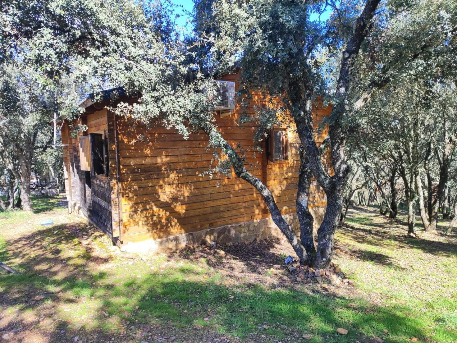 Nuevo Ecolodge Cabaneros Retuerta de Bullaque Exteriér fotografie