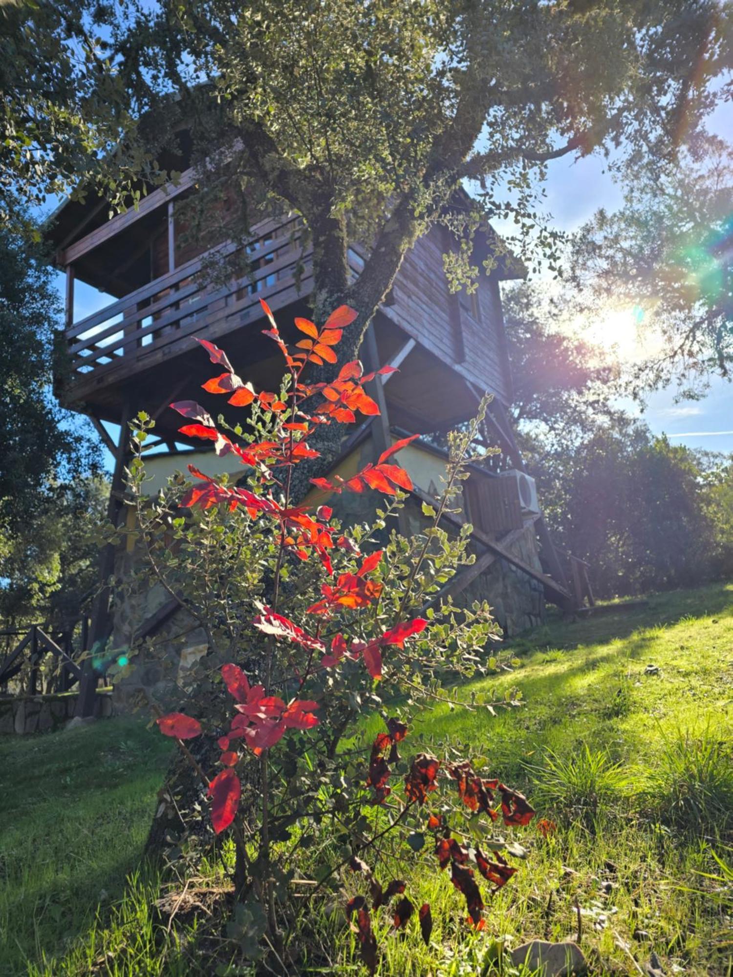Nuevo Ecolodge Cabaneros Retuerta de Bullaque Exteriér fotografie
